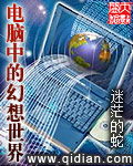 电脑中的幻想世界小说封面